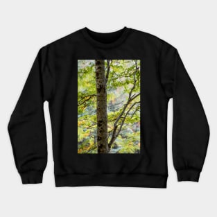 Gruinard Birch in motion Crewneck Sweatshirt